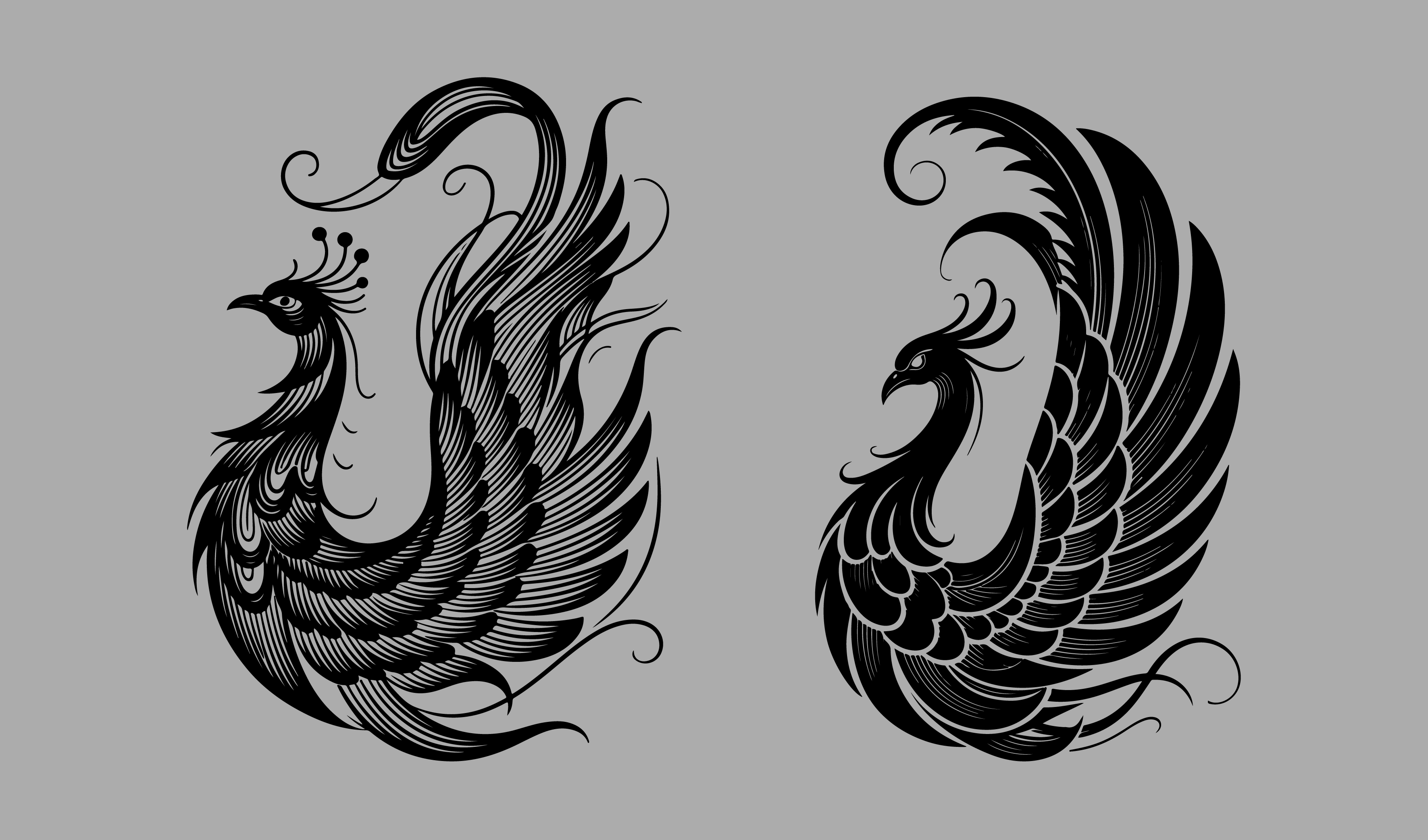 传统-酒类元素&mdash;&mdash;凤凰插画